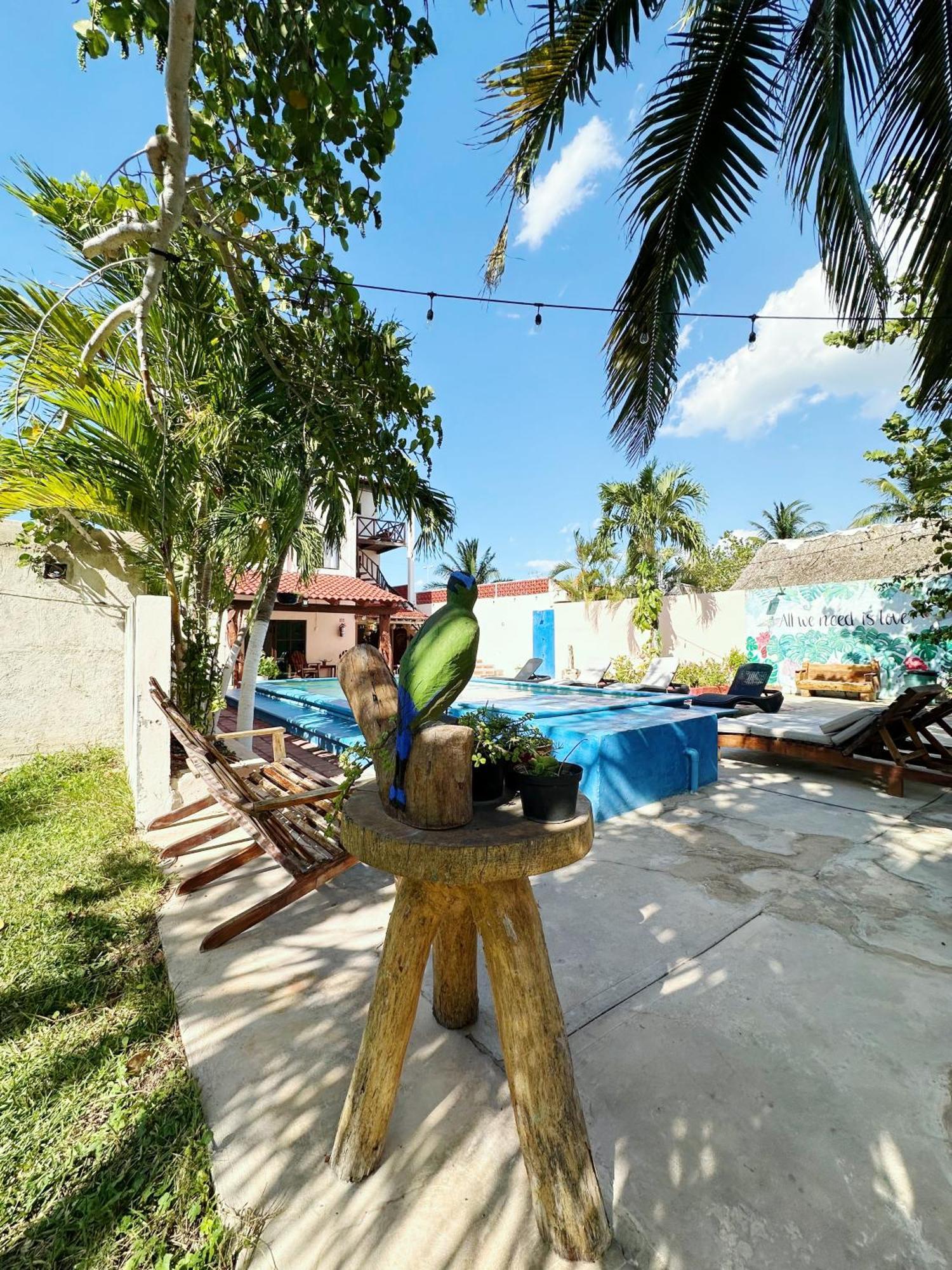 Posada El Perico Marinero Río Lagartos エクステリア 写真