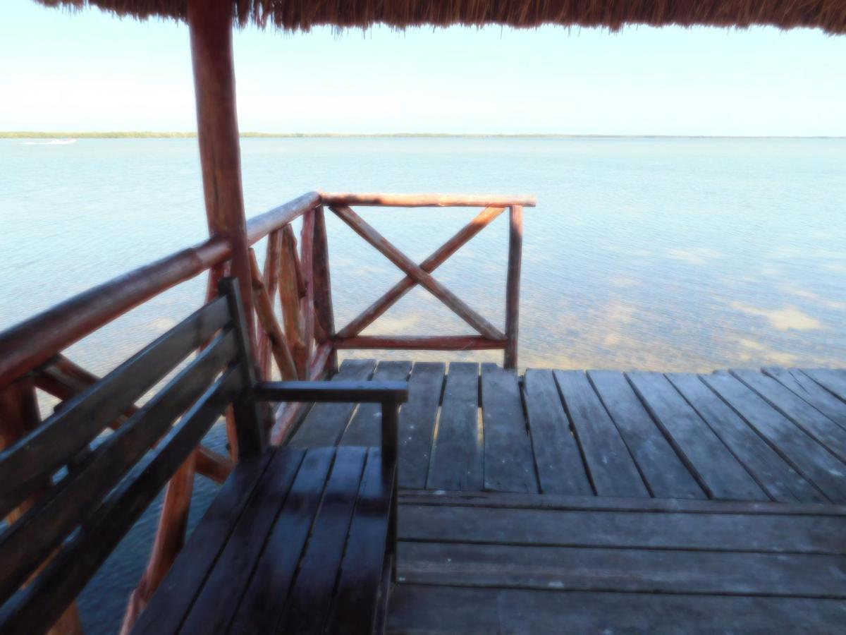 Posada El Perico Marinero Río Lagartos エクステリア 写真
